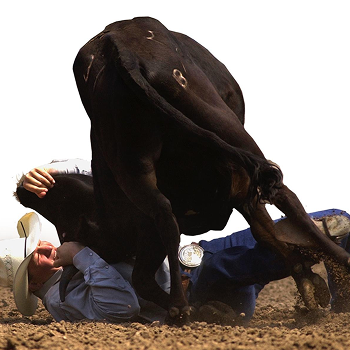 Jeff Corbello hace todo lo posible por derribar a un novillo en la competencia del último día del Greeley Stampede, que cuenta con el rodeo y celebración del oeste más grande del mundo del 4 de julio, el lunes 4 de julio de 2005 en Greeley, Colorado. 