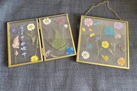 Pressed flowers frames. 