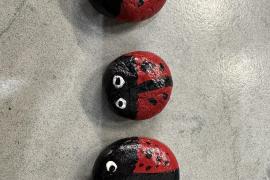 These Ladybugs Really Rock!