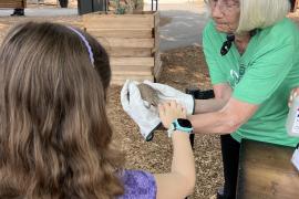 Petting a hedgehog 