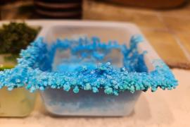 Cristal azul rastrero