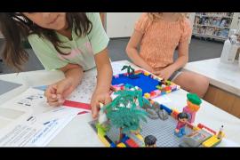 Mavis loves islands and she wanted to create her dream island for her friends.  