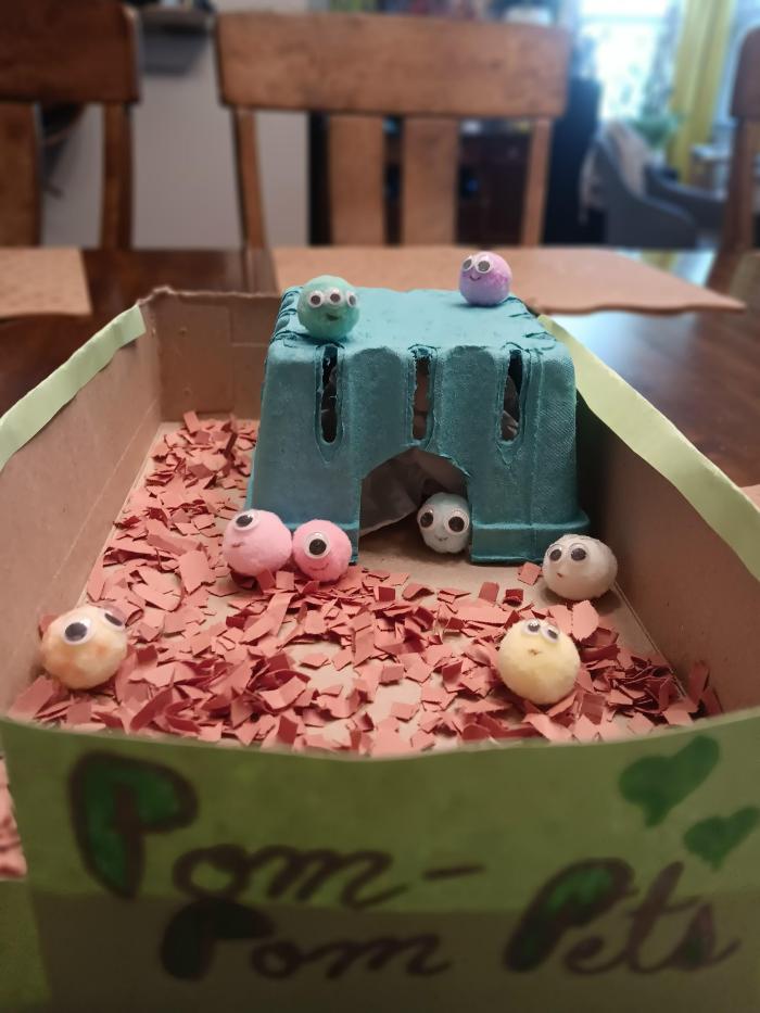 Thú cưng Pom Pom trong nhà của họ. 