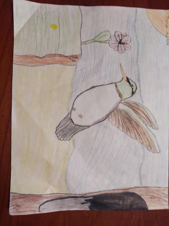 A beautiful drawing g of a hummingbird finding a flower