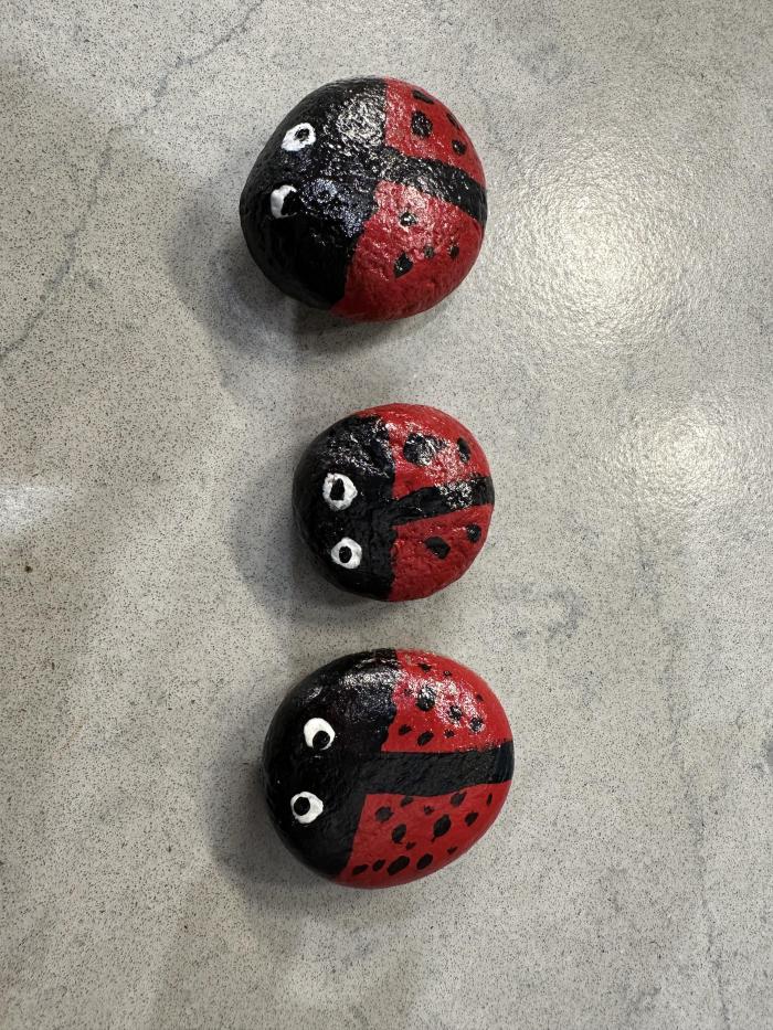 These Ladybugs Really Rock!
