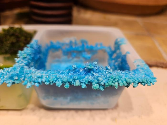 Creeping Blue Crystal