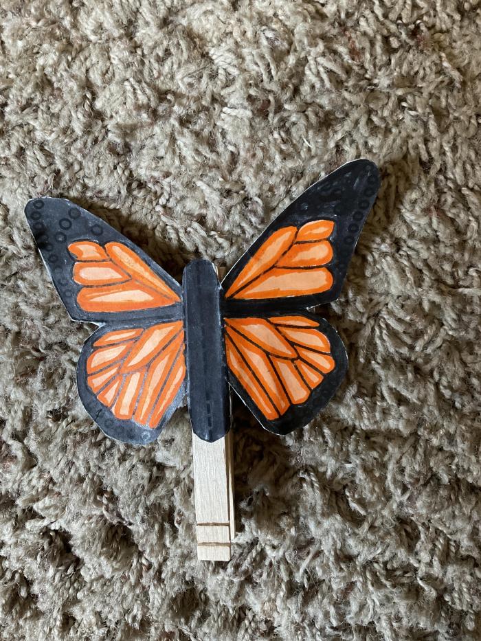 Butterfly colored, cut out and glued to a clothes pin. Wings move when clothes pin is open.